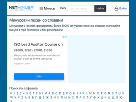 'netminusa.ru' screenshot