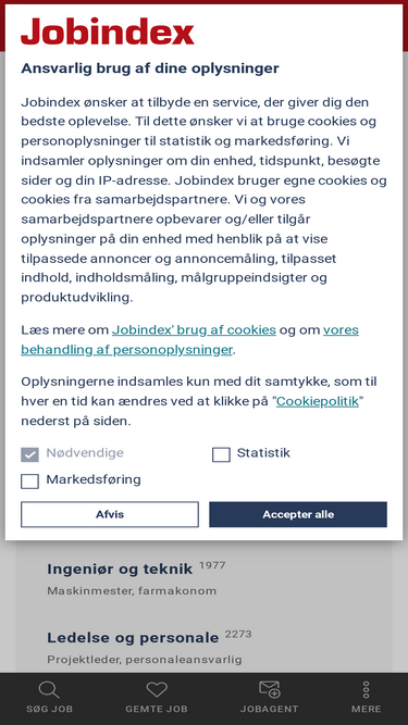 jobindex.dk