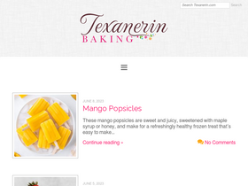 'texanerin.com' screenshot