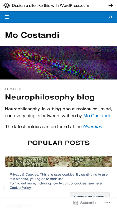 neurophilosophy.wordpress.com
