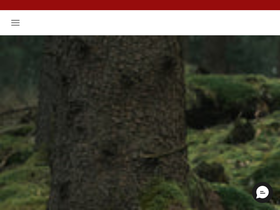 DIMANO website screenshot