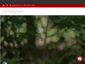 '2bigfeet.com' screenshot
