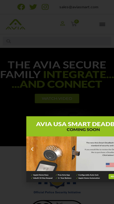aviasmart.com