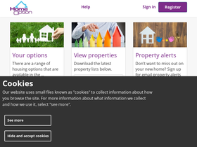 'homeoption.org' screenshot