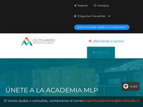 academiamlp.cl
