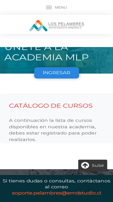 academiamlp.cl