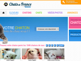 'chats-de-france.com' screenshot