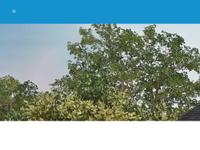 'blueravensolar.com' screenshot