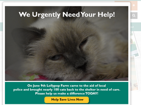 'lollypop.org' screenshot