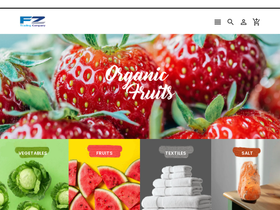 fz-trading.com homepage screenshot