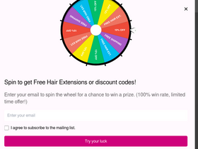 reechohair.com homepage screenshot