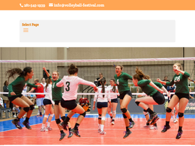 volleyball-festival.com