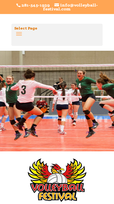 volleyball-festival.com