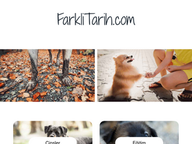 'farklitarih.com' screenshot