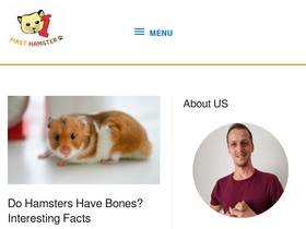 'firsthamster.com' screenshot