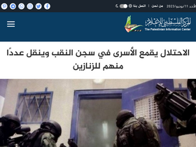 'palinfo.com' screenshot