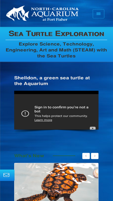 seaturtleexploration.com
