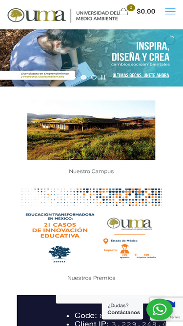 umamexico.com