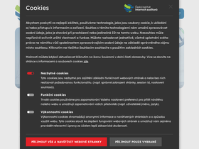 interniaudit.cz