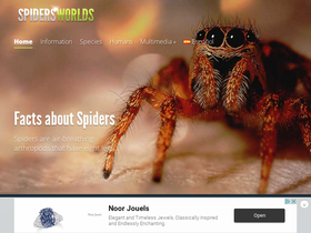 spidersworlds.com