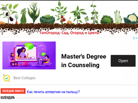 'topogorod.ru' screenshot