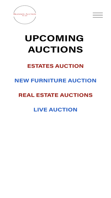 brandonauction.com