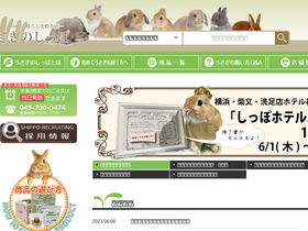 'rabbittail.com' screenshot