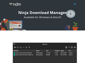 ninjadownloadmanager.com