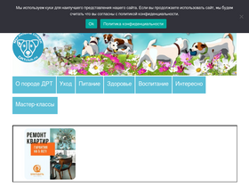 'drtclub.ru' screenshot