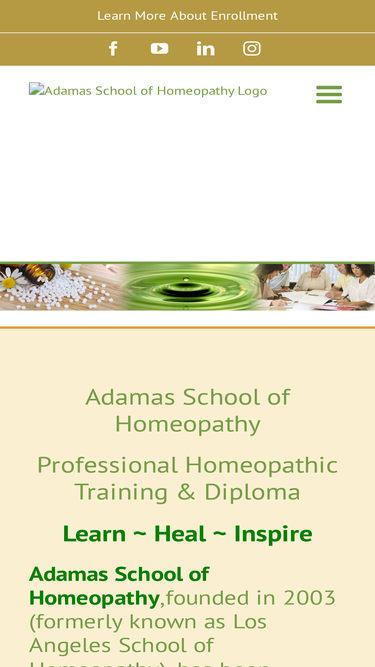 lahomeopathicschool.com