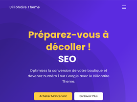 billionaire-theme.com