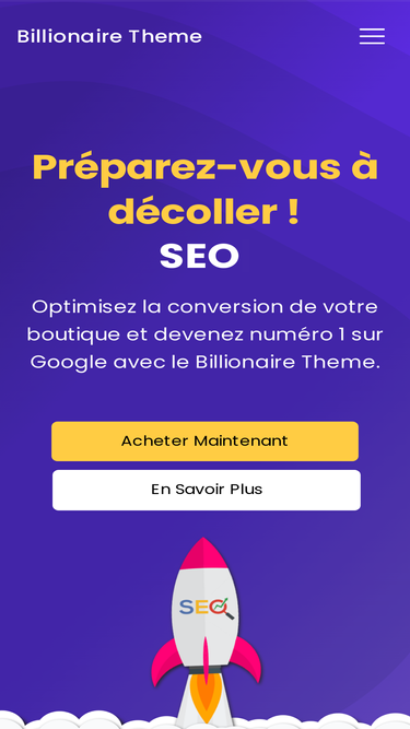 billionaire-theme.com