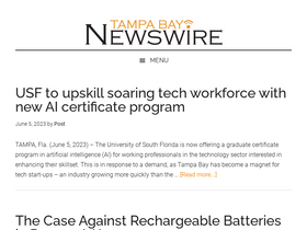 tampabaynewswire.com