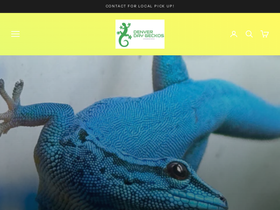 denverdaygeckos.com homepage screenshot