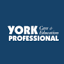 ypce.com