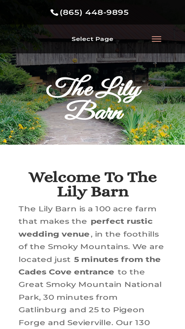 lilybarn.com