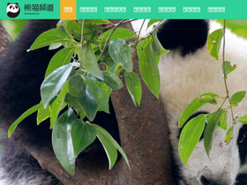 'ipanda.com' screenshot