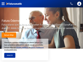 'faturamatik.com.tr' screenshot