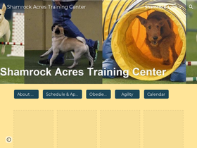 shamrockdogs.com