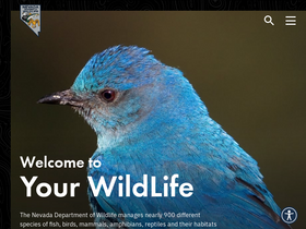 'ndow.org' screenshot