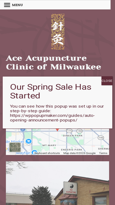 aceacupuncture.com