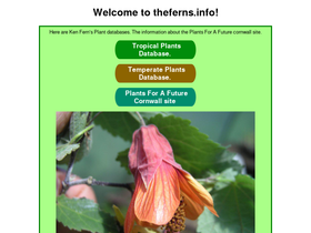 theferns.info