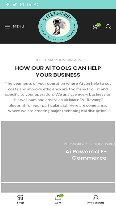intelprise.com