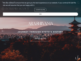 'intrepidscout.com' screenshot