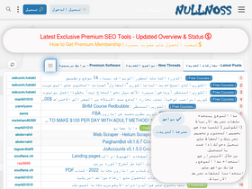 'nullnoss.org' screenshot