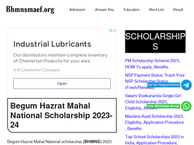 'bhmnsmaef.org' screenshot