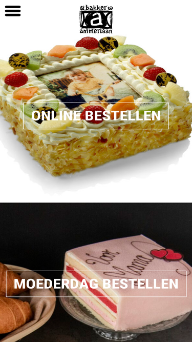 bakkerammerlaan.nl