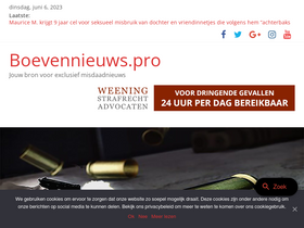 'boevennieuws.pro' screenshot