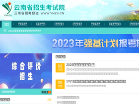 'ynzs.cn' screenshot