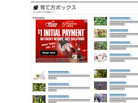 'sodatekata-box.jp' screenshot